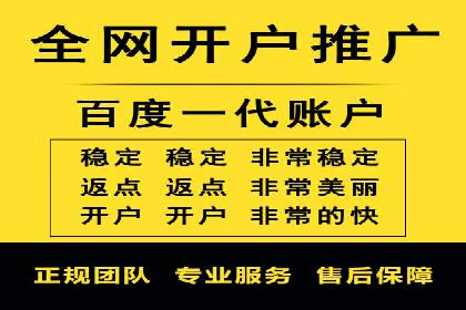 成功案例揭秘：百度竞价账户托管的运营之道